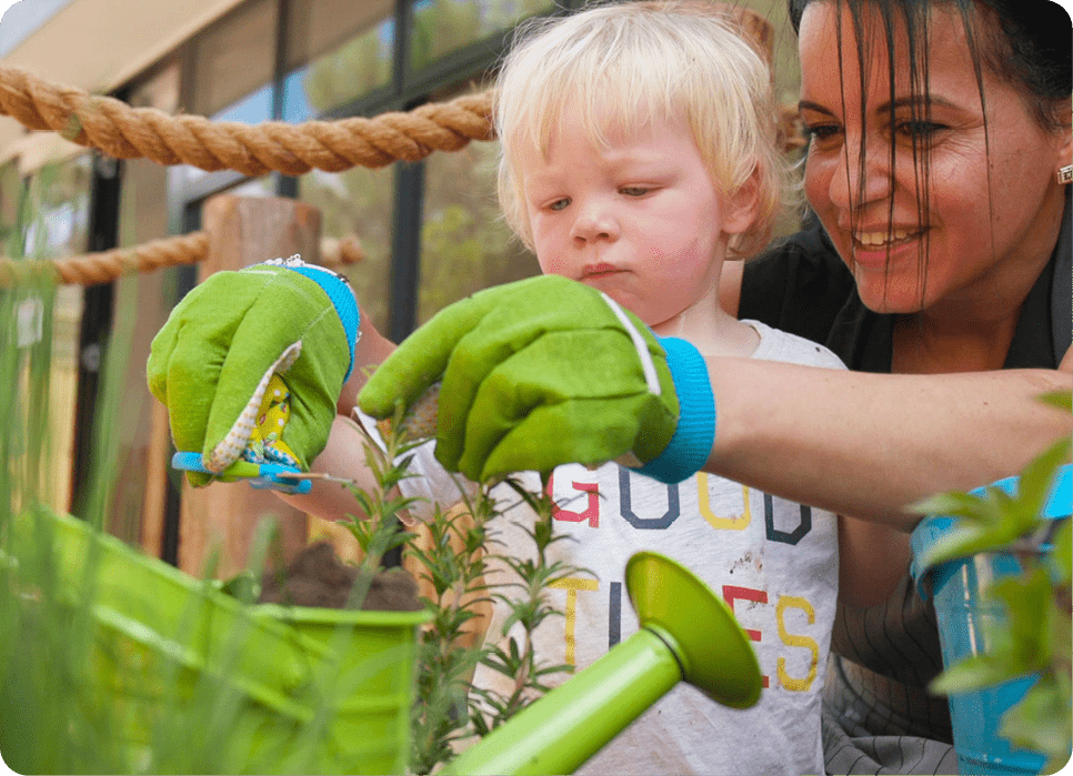 Sustainability Program - The Fern